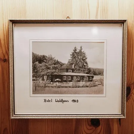 Waldhaus Szálloda