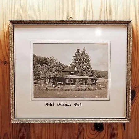 Waldhaus ホテル Laubach